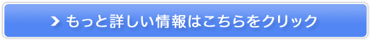 ���C�`�F�����C�� �~�l�������C�N�A�b�v�̔��T�C�g��